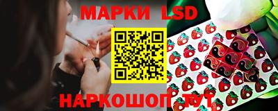 apvp Балашиха