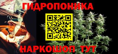 дживик Бийск